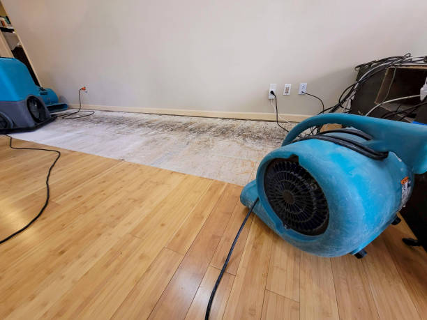 Professional Water Removal technician working in Bay Pines, FL